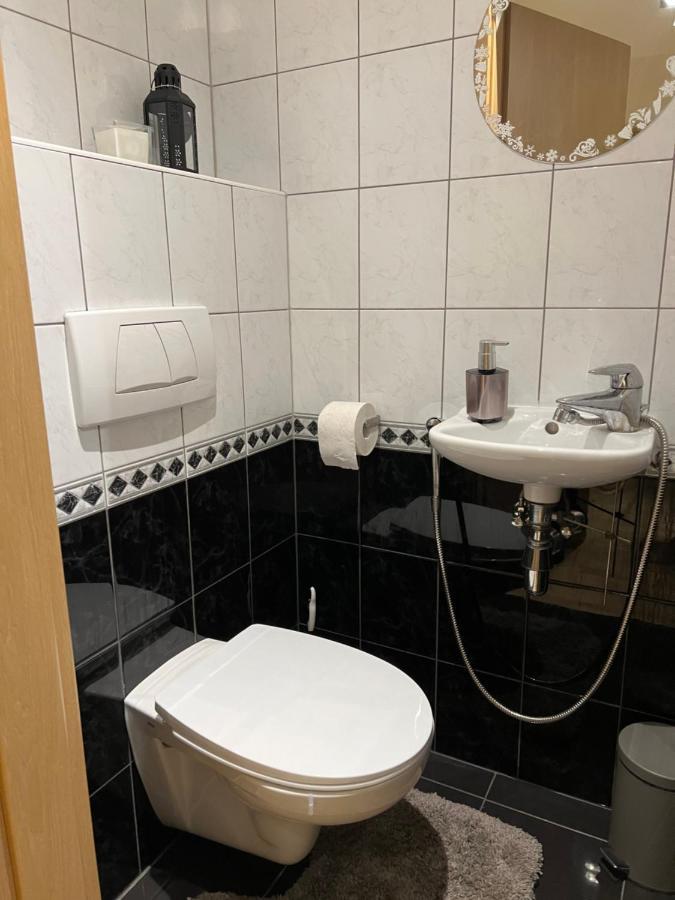 Luxury Apartment Dunapest With Spa And Pool 布达佩斯 外观 照片