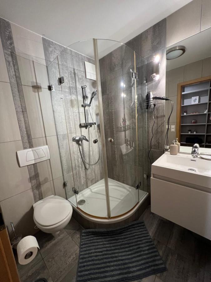Luxury Apartment Dunapest With Spa And Pool 布达佩斯 外观 照片